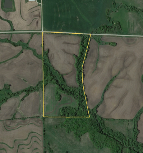 Screen Shot 2017-02-14 at 11.35.51 AM