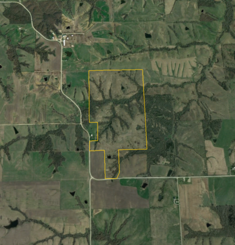 Screen Shot 2017-05-12 at 8.21.22 AM