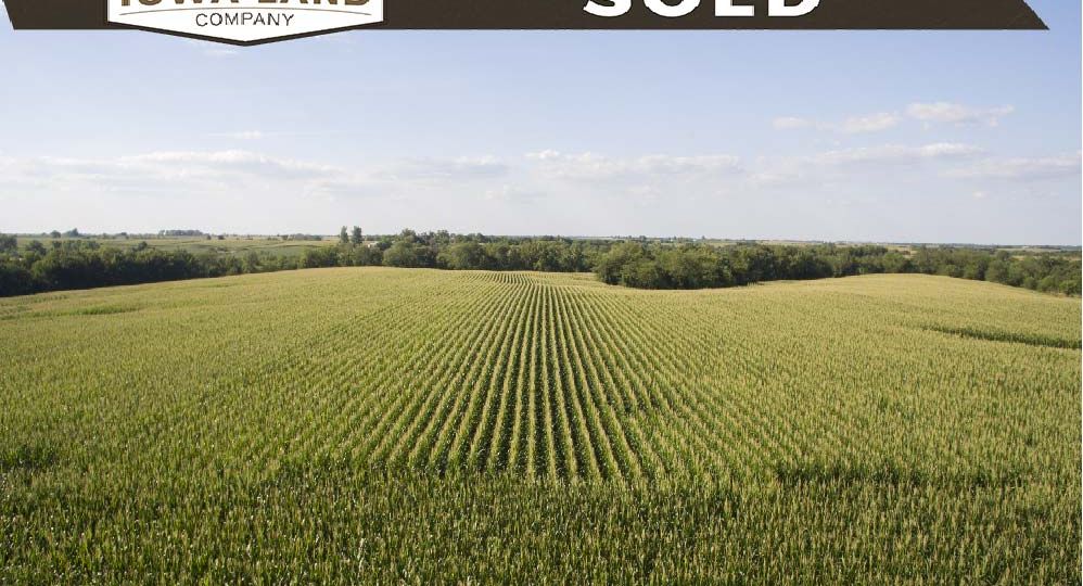 Wayne 206 Auction SOLD