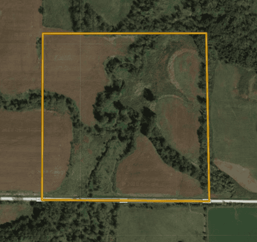 Screen Shot 2018-03-06 at 4.24.06 PM