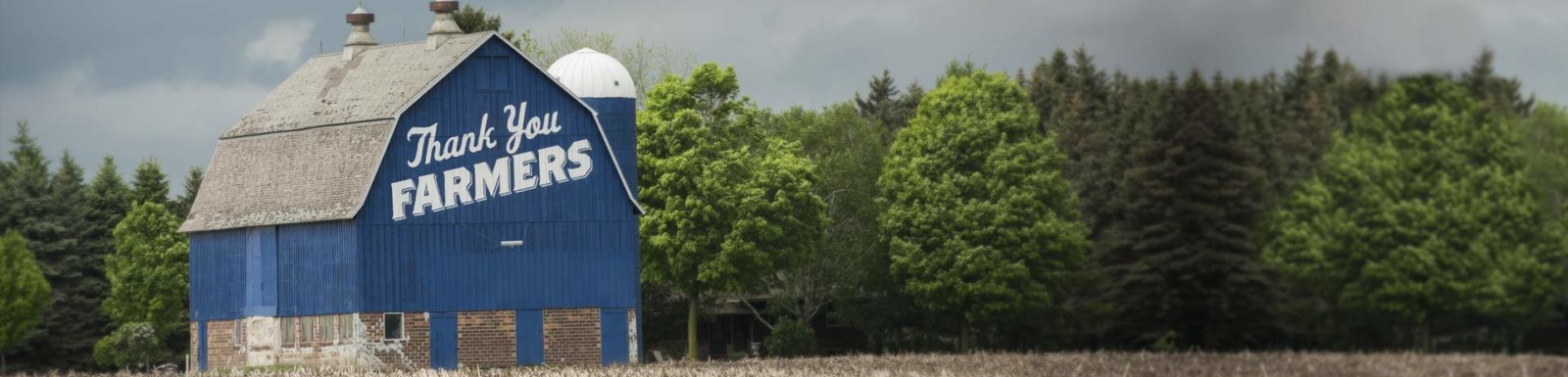 Iowa farmland for sale