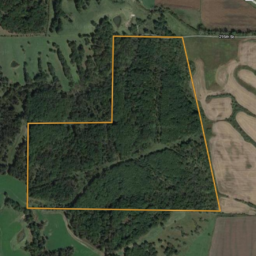 Decatur County, Iowa 120 +/- Acres Hardwood Timber Powerhouse