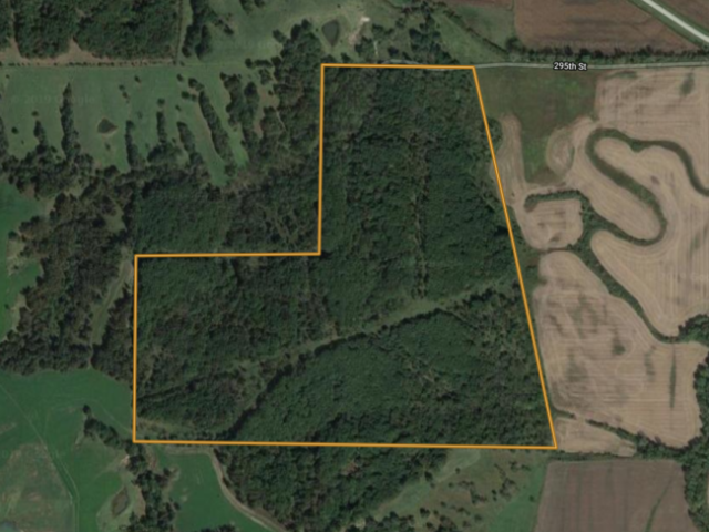 Decatur County, Iowa 120 +/- Acres Hardwood Timber Powerhouse