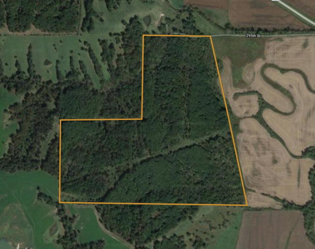 Decatur County, Iowa 120 +/- Acres Hardwood Timber Powerhouse