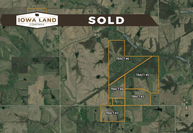 AppDavis Land Auction