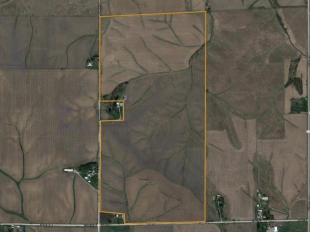 Cedar Featured Image