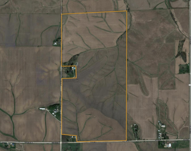 Cedar Featured Image