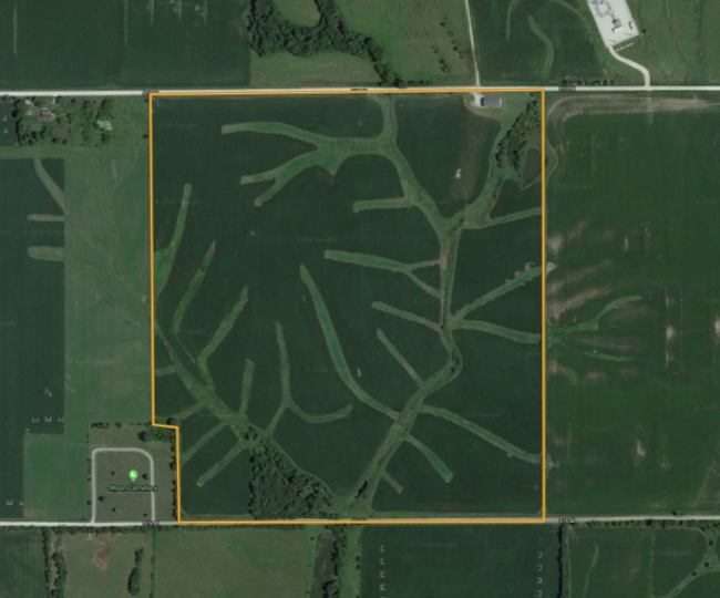 Madison 150 Featured