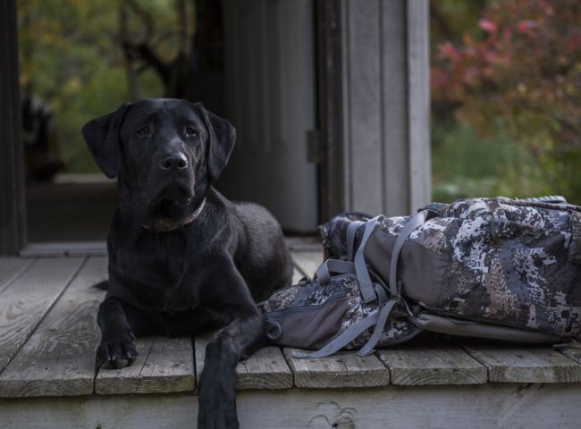 DRAKE (1) Land Agent - Nick Skinner