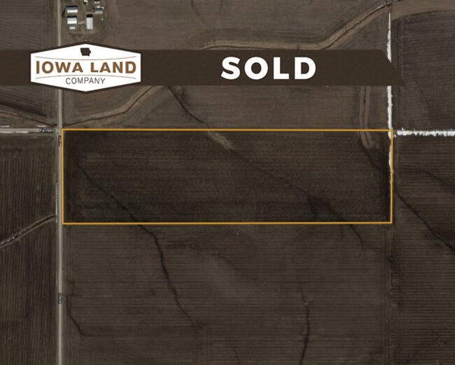 Grundy 45 Featured SOLD