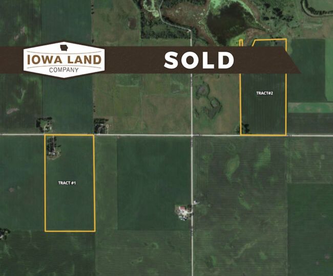 Pocy 155 Featured SOLD