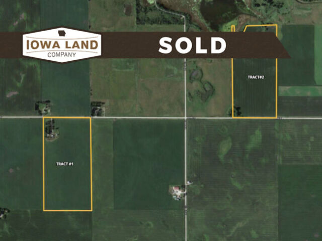 Pocy 155 Featured SOLD