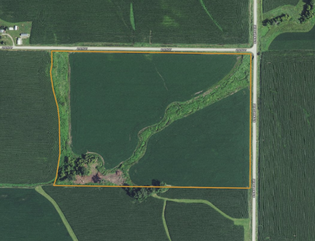 Buchanan 56 featured