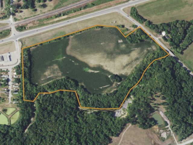 Screen Shot 2021-07-12 at 11.54.01 AM