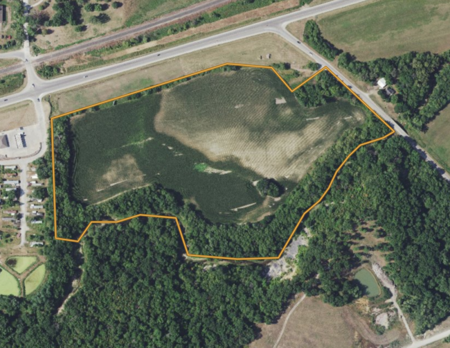 Screen Shot 2021-07-12 at 11.54.01 AM