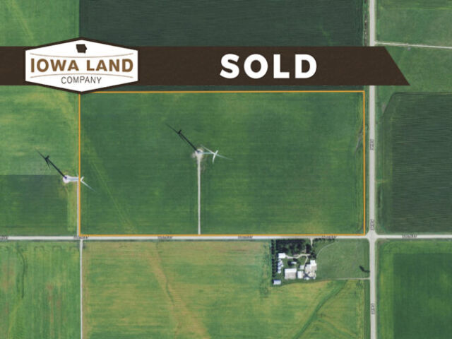 Grundy 75 Featured SOLD