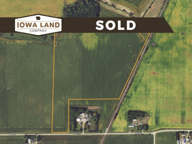 Worth 87 Featured SOLD