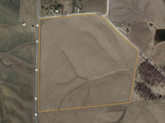 Marshall 79 Featured