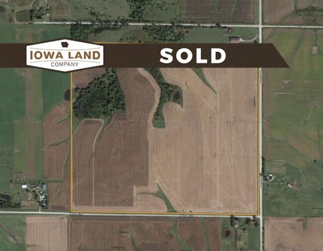 Clarke 143 Featured SOLD