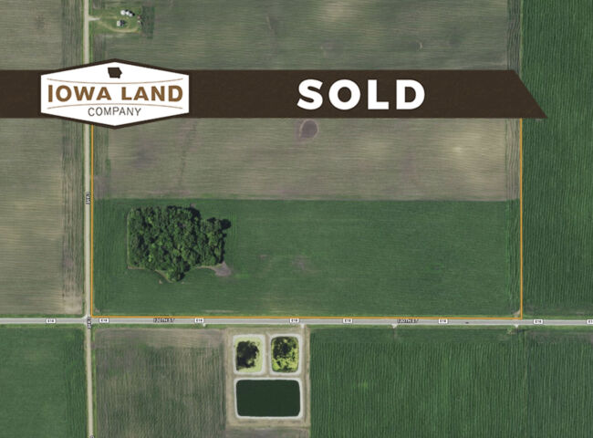 Boone 77 Featured SOLD