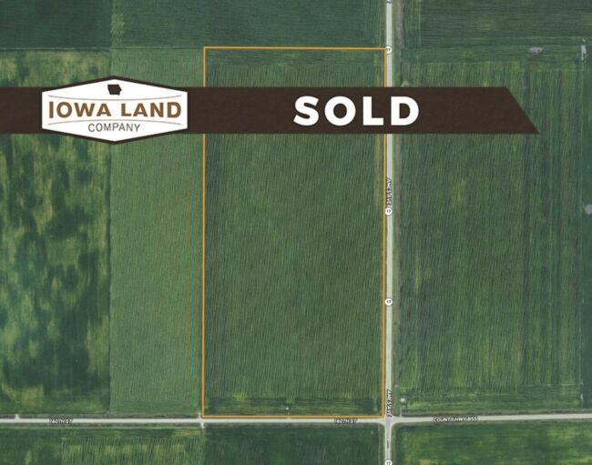 Kossuth 80 Featured SOLD