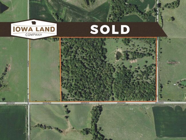 Wayne 80 Featured SOLD