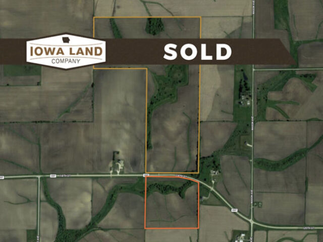 Buchanan 195 Auction Featured SOLD