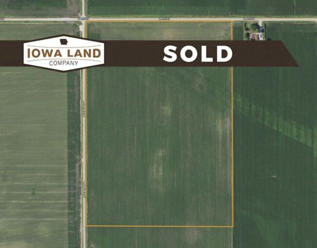 Calhoun 55 Featured SOLD