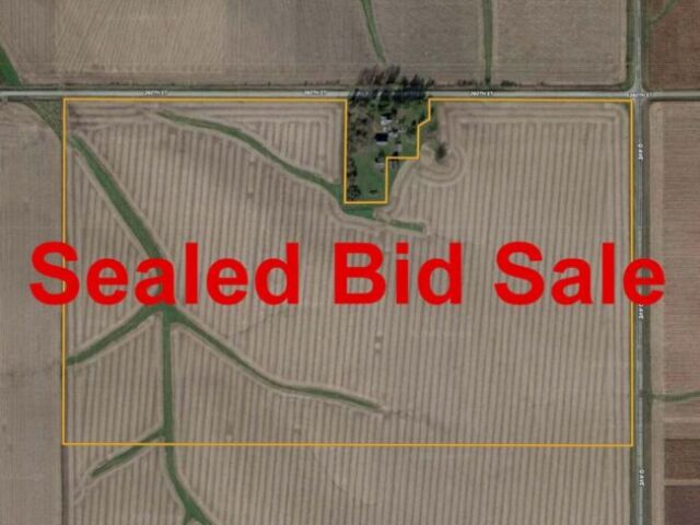 Grundy89 - Sealed Bid Sale