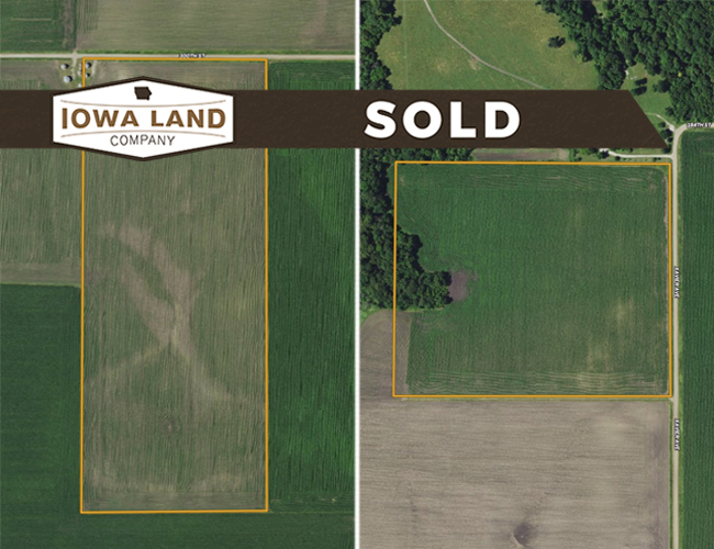 Hamilton:Webster 95 Featured SOLD