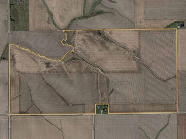 Marshall 282 Featured