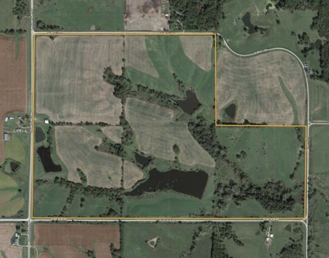 Wayne 200 Featured Image