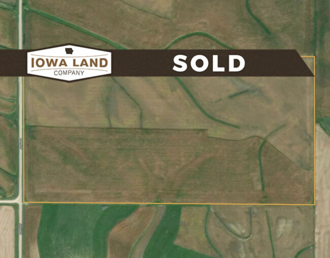 Crawford 79 Featured SOLD