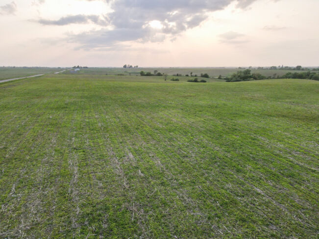 dji_fly_20230524_191312_47_1684973614877_photo FEATURED