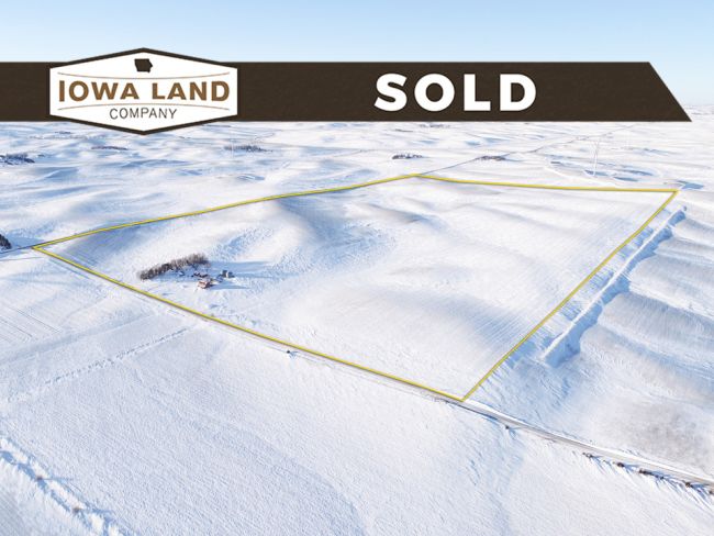 Audubon County, Iowa 233.44 +/- Acres Farmland Auction