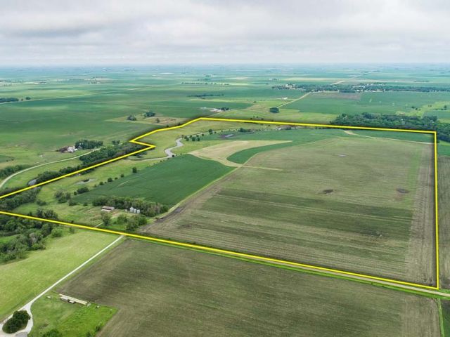 Calhoun County, Iowa 261.52 +/- Acre Grass and Grains